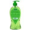 Palmolive Body Wash Aroma Morning Tonic 750ml Pump Shower Gel with 100 Natural Citrus Essential Oil Lemongrass Extracts1 Palmolive Body Wash Aroma Morning Tonic 750ml Pump Shower Gel with 100 Natural Citrus Essential Oil Lemongrass Extracts1
