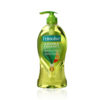 palmolive aroma morning tonic shower gel tangering essential oil lemongrass extract 250ml.02 palmolive aroma morning tonic shower gel tangering essential oil lemongrass extract 250ml.02