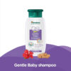 himalaya gentle baby shampoo.jpg 01 himalaya gentle baby shampoo.jpg 01
