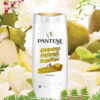 pantene advanced hair fall solution total damage care shampoo 03 pantene advanced hair fall solution total damage care shampoo 03